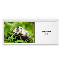 Red Panda 2024 Magnetic Calendar