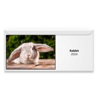 Rabbit 2024 Magnetic Calendar
