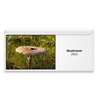 Mushroom 2024 Magnetic Calendar