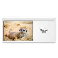 Meerkat 2024 Magnetic Calendar