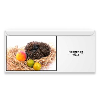 Hedgehog 2024 Magnetic Calendar