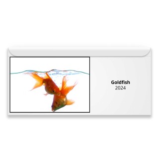 Goldfish 2024 Magnetic Calendar