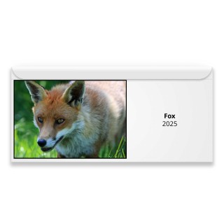 Fox 2024 Magnetic Calendar