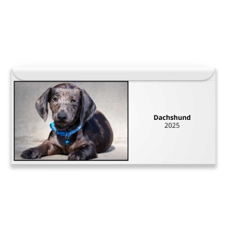 Dachshund 2024 Magnetic Calendar