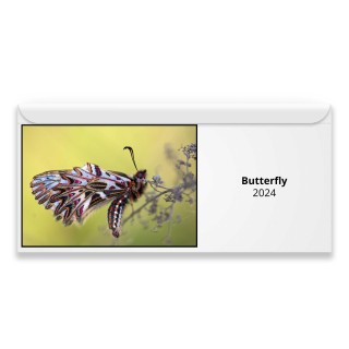 Butterfly 2024 Magnetic Calendar