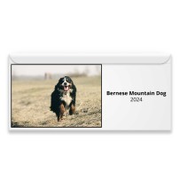 Bernese Mountain Dog 2024 Magnetic Calendar