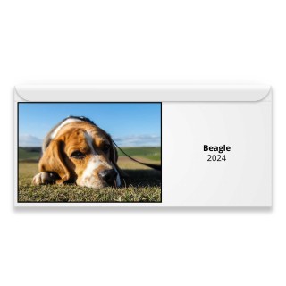 Beagle 2024 Magnetic Calendar