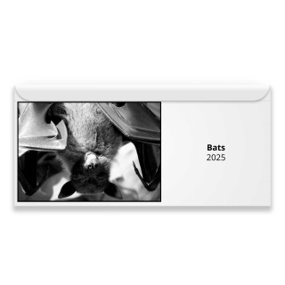 Bats 2024 Magnetic Calendar