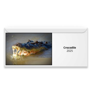 Crocodile 2024 Magnetic Calendar