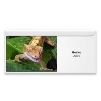 Gecko 2024 Magnetic Calendar