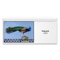 Peacock 2024 Magnetic Calendar