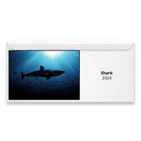 Shark 2024 Magnetic Calendar