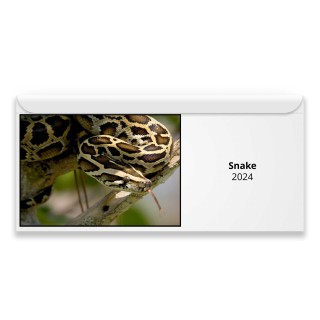 Snake 2024 Magnetic Calendar