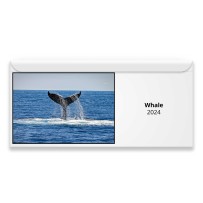 Whale 2024 Magnetic Calendar
