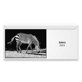 Zebra 2024 Magnetic Calendar