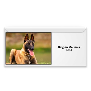 Belgian Malinois 2024 Magnetic Calendar