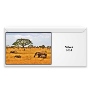 Safari 2024 Magnetic Calendar