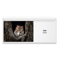 Owl 2026 Magnetic Calendar