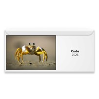 Crabs 2026 Magnetic Calendar