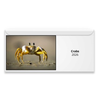 Crabs 2026 Magnetic Calendar