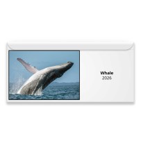 Whale 2026 Magnetic Calendar