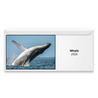 Whale 2026 Magnetic Calendar