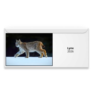 Lynx 2026 Magnetic Calendar