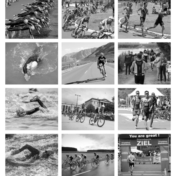 Swim Bike Run (Vol. IV)
