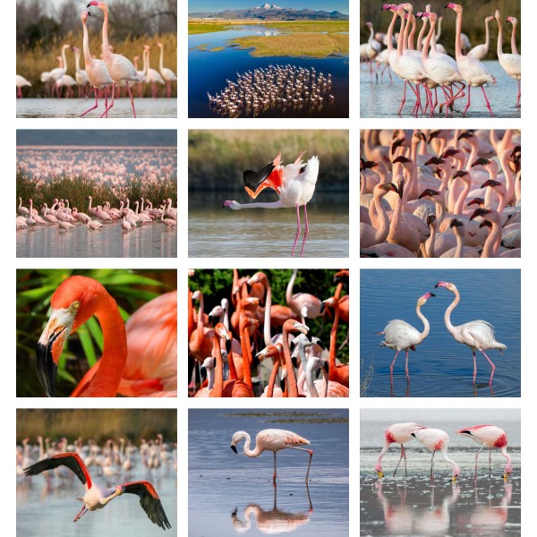 Stilt Stories (Vol. III)
