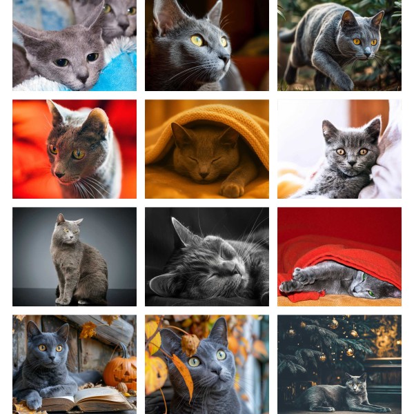 Smoky Purrs (Deel IV)