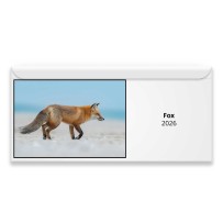 Fox 2026 Magnetic Calendar