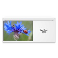 Ladybug 2026 Magnetic Calendar