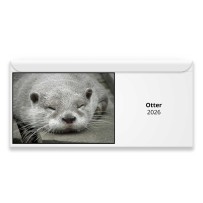 Otter 2026 Magnetic Calendar