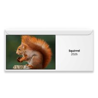 Squirrel 2026 Magnetic Calendar
