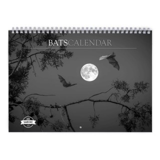 Bats 2024 Wall Calendar