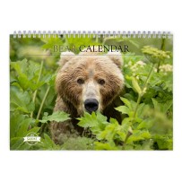 Bear 2024 Wall Calendar