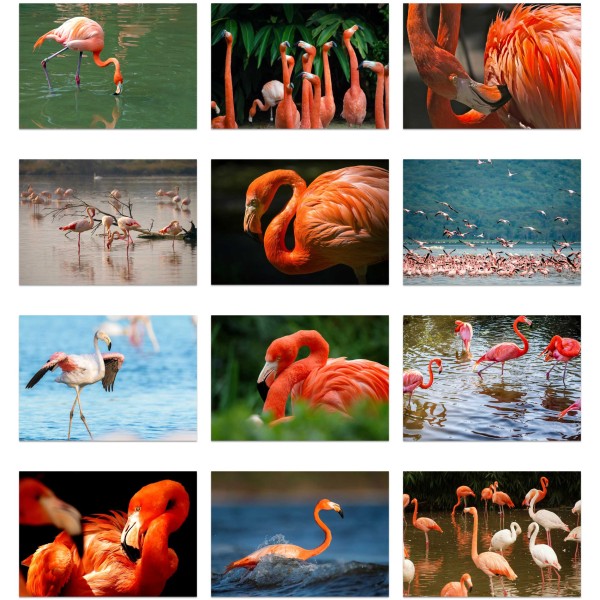 Pink Possibilities (Vol. I)