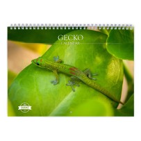 Gecko 2024 Wall Calendar