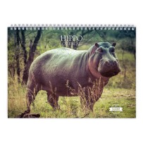 Hippo 2024 Wall Calendar