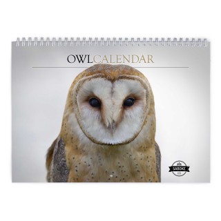 Owl 2024 Wall Calendar