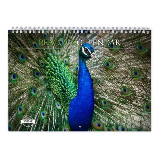 Peacock 2024 Wall Calendar