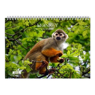 Monkey 2024 Wall Calendar