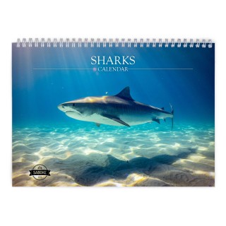 Shark 2024 Wall Calendar