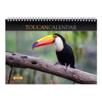 Toucan 2024 Wall Calendar