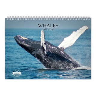 Whale 2024 Wall Calendar