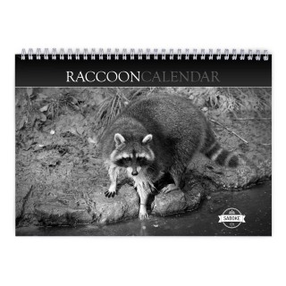 Raccoon 2024 Wall Calendar