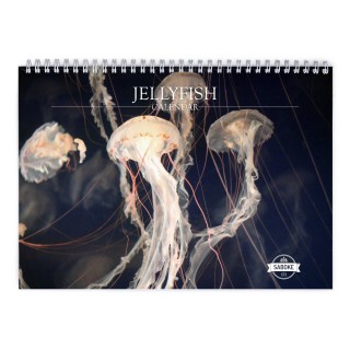 Jellyfish 2024 Wall Calendar