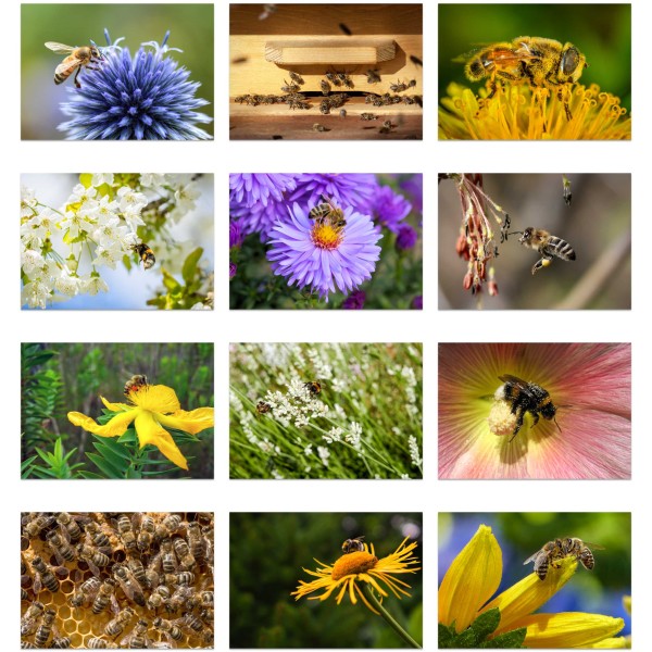 Bee-ing Busy (第I巻)