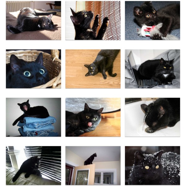 Midnight Mewers (Vol. I)