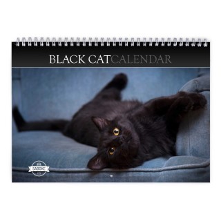 Black Cat 2024 Wall Calendar